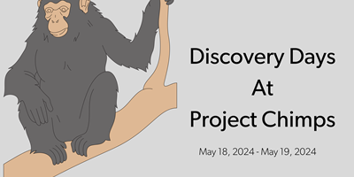 Discovery Days at Project Chimps