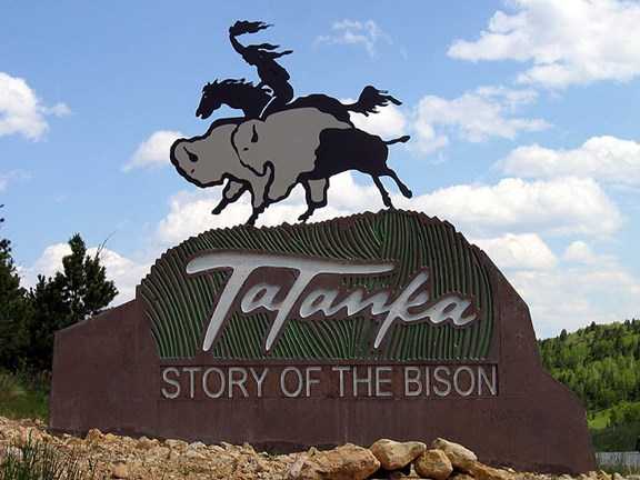 Tatanka - The Story of the Bison