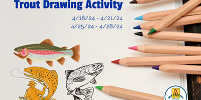 Trout Drawing Activity
