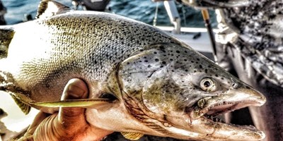 Casting Away: Fishing in Owen Sound