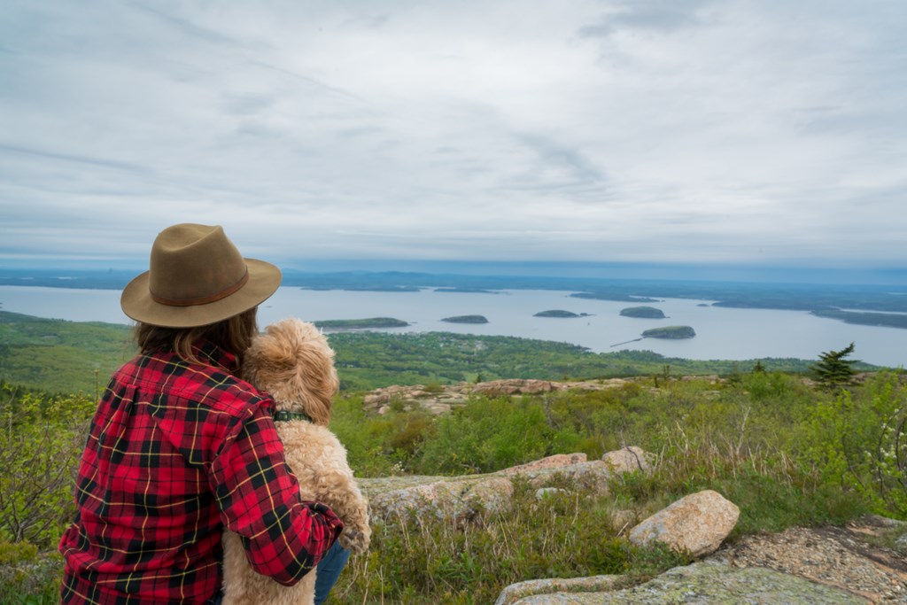 Woman and dog enjoy beautiful view from atop Cadillac Mountain.