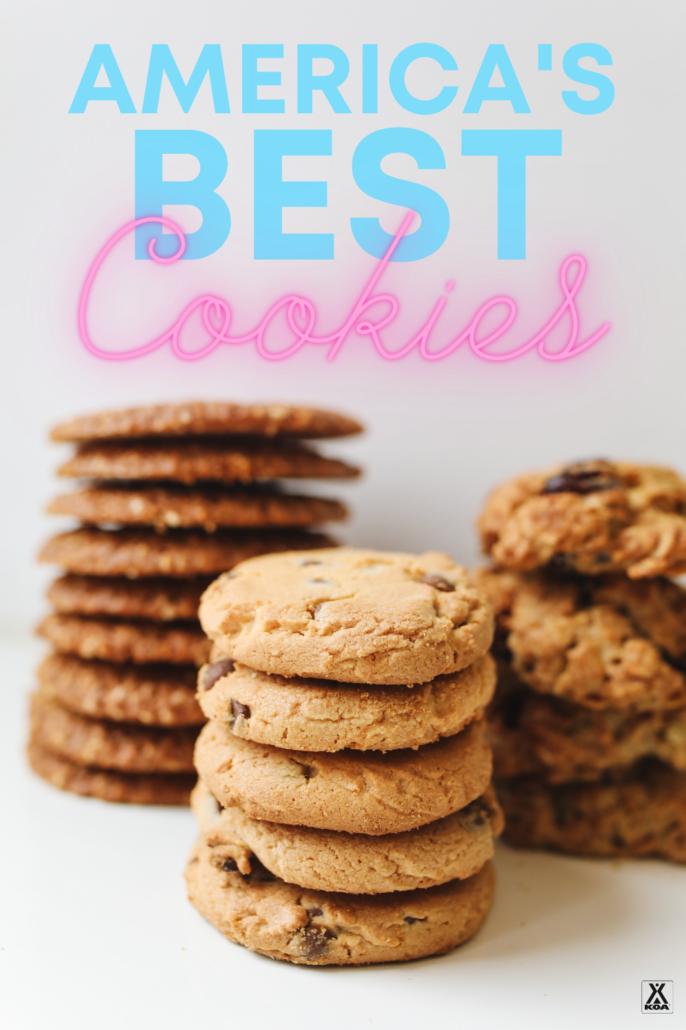 Take a road trip for a cookie (or a dozen)? You bet! With cookies this good you'll be hitting the road and trying these road trip worthy cookie stops before you know it. These are our favorite cookie bakeries.