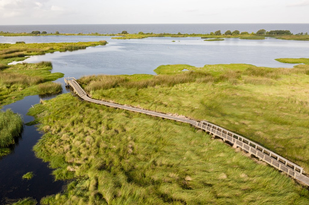 Aerial view of a boardwalk traveling through marshy coastal landscape.