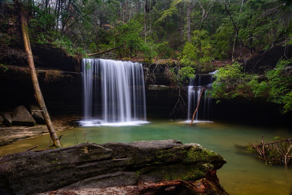 Caney Creek Falls is thought of as one of the best waterfalls in the Bankead National Forest. Considering it is one a 1.5 mile hike from the trailhead, it is also one of the more accessible waterfalls.