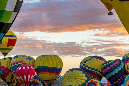 The International Balloon Fiesta