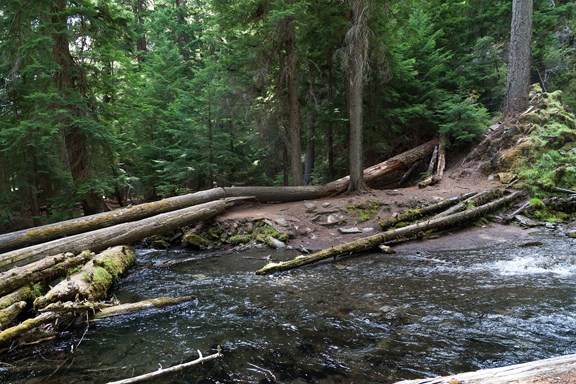 Rogue River-Siskiyou National Forest