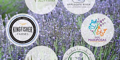 Southern Oregon Lavender Festival June 21-June 23