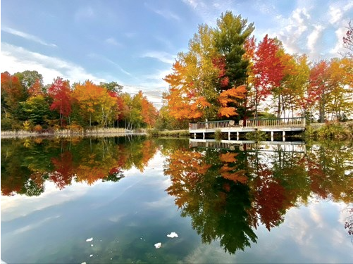 Come See Michigan's Fantastic Fall Foliage!