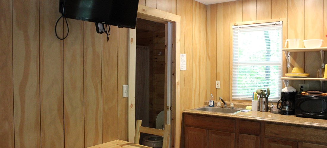 Deluxe Cabin - DK1 & DK2, Main living area with partial kitchen, table & chairs, and pull out full couch.