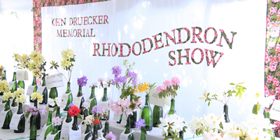 45th annual John Druecker Memorial Rhododendron Show