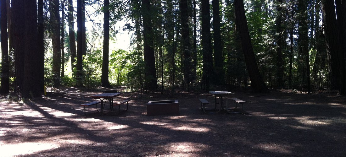 Site 88 / View of tables & fire ring