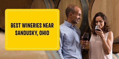 Best Wineries Near Sandusky, Ohio