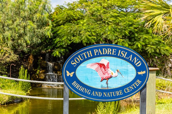 South Padre Island Birding, Nature Center, & Alligator Sanctuary