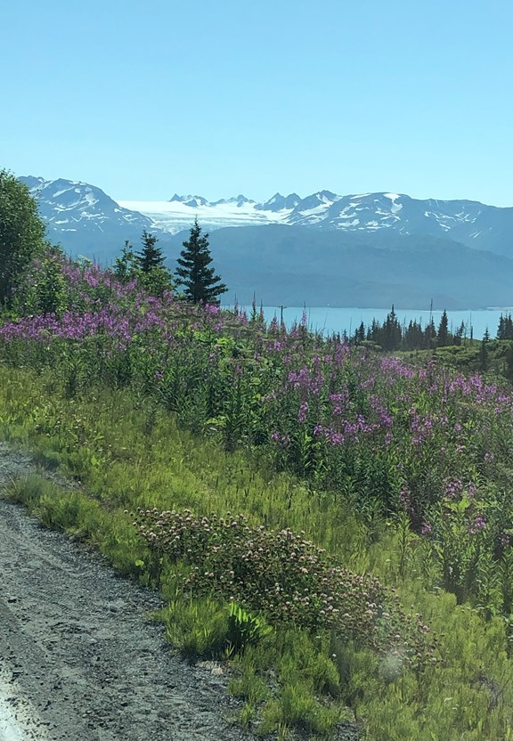 Valdez, Alaska in all her glory