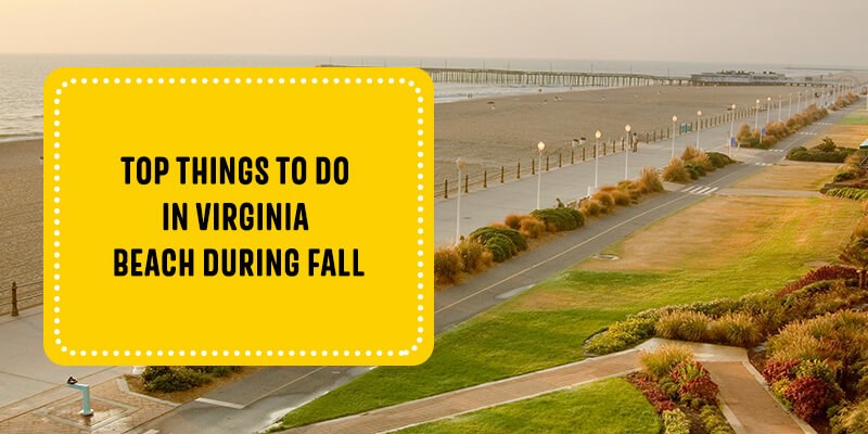 Top Things to Do in Virginia Beach in the Fall