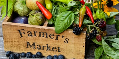 Farmers Markets & Flea Markets